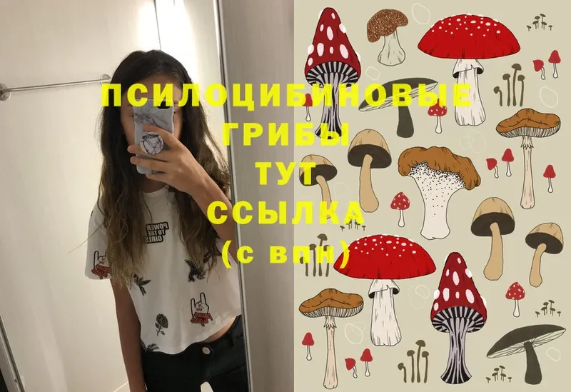 Псилоцибиновые грибы MAGIC MUSHROOMS  магазин продажи наркотиков  Первомайск 